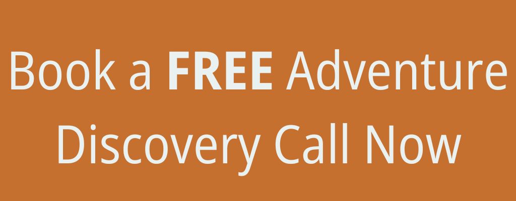 Book a free discovery call/ Orange button