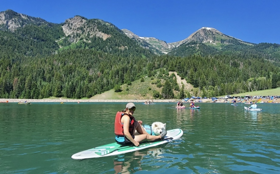 Tibble Fork paddleboarding