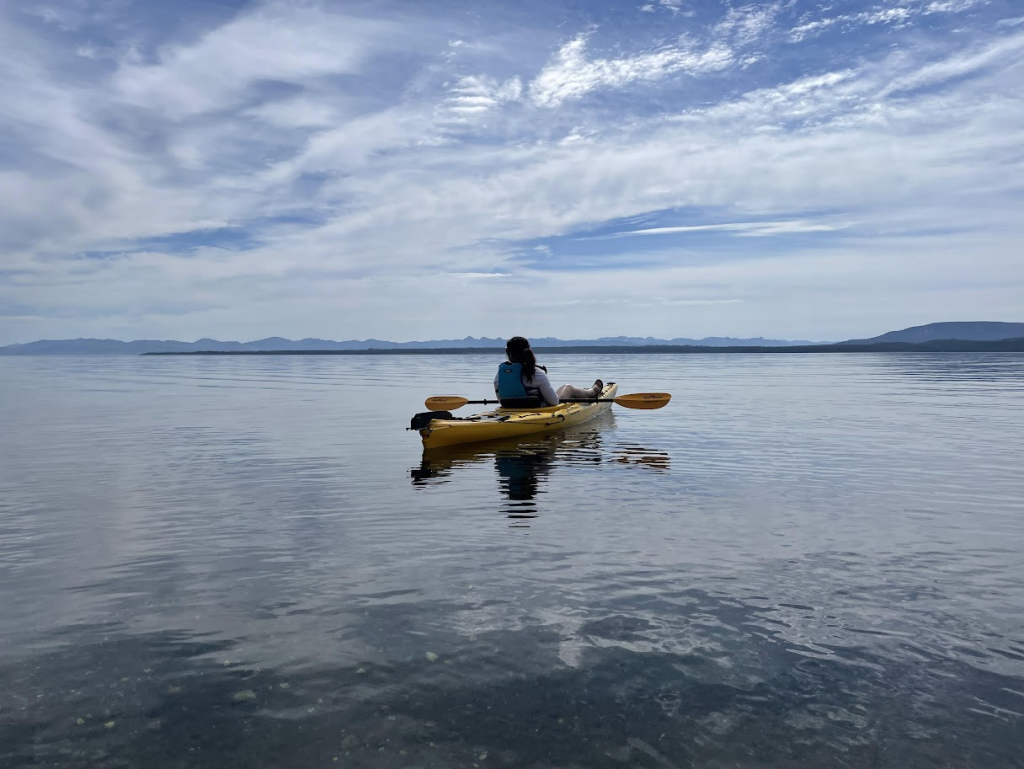 scenic kayaking trips in Yellowstone
